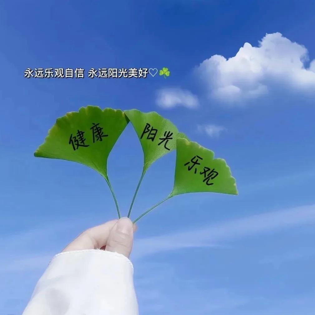 清真夔毛牛坊，