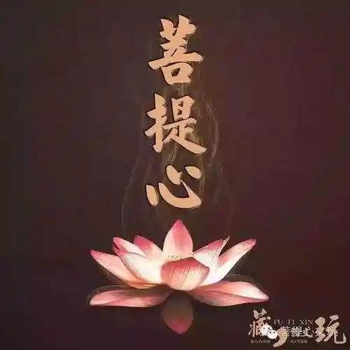 福运佳人