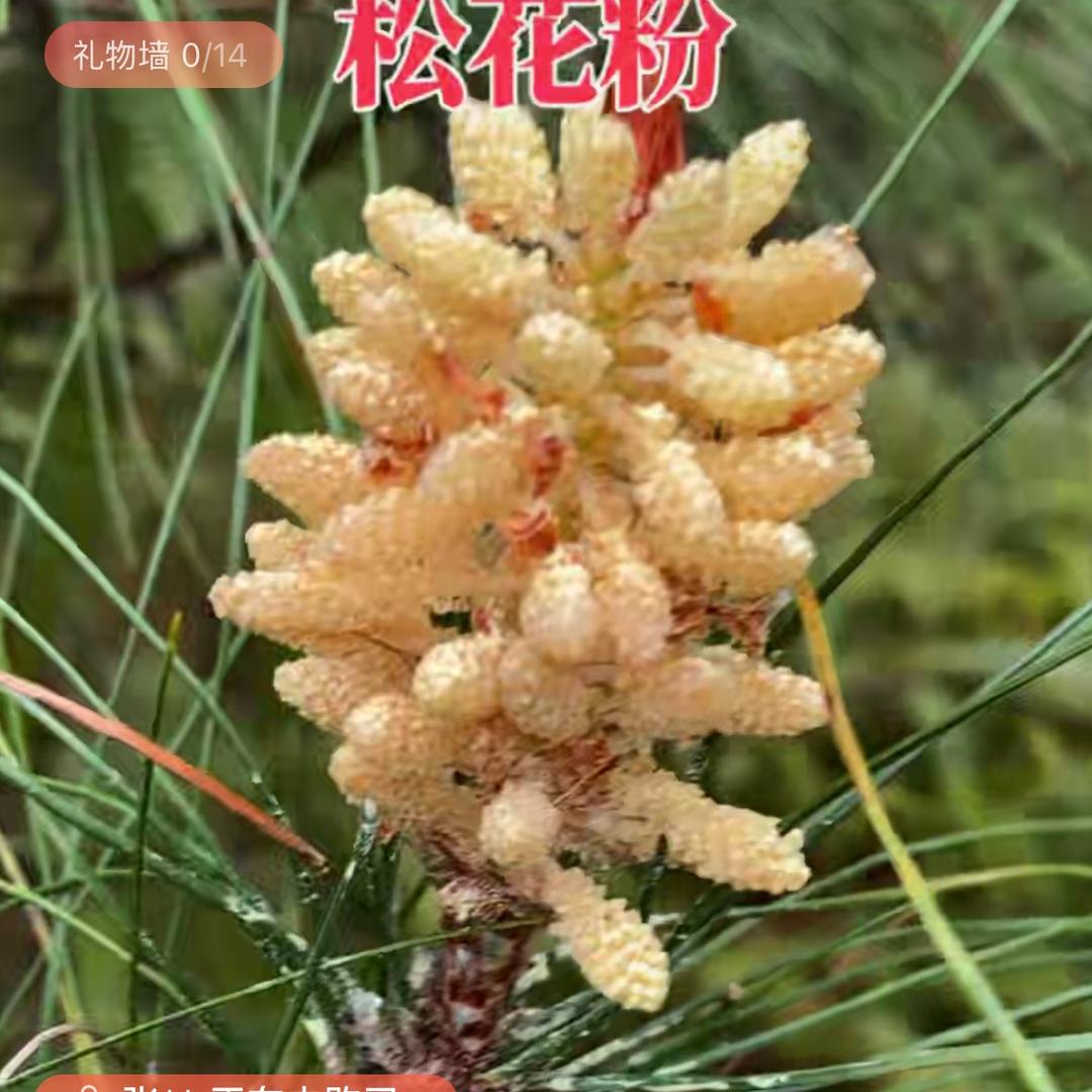 霰蘪靉䶤