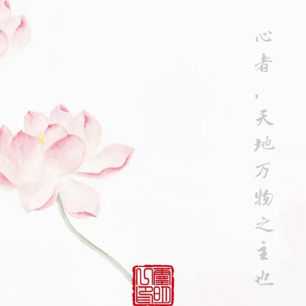 岁月静好 杂货一堆