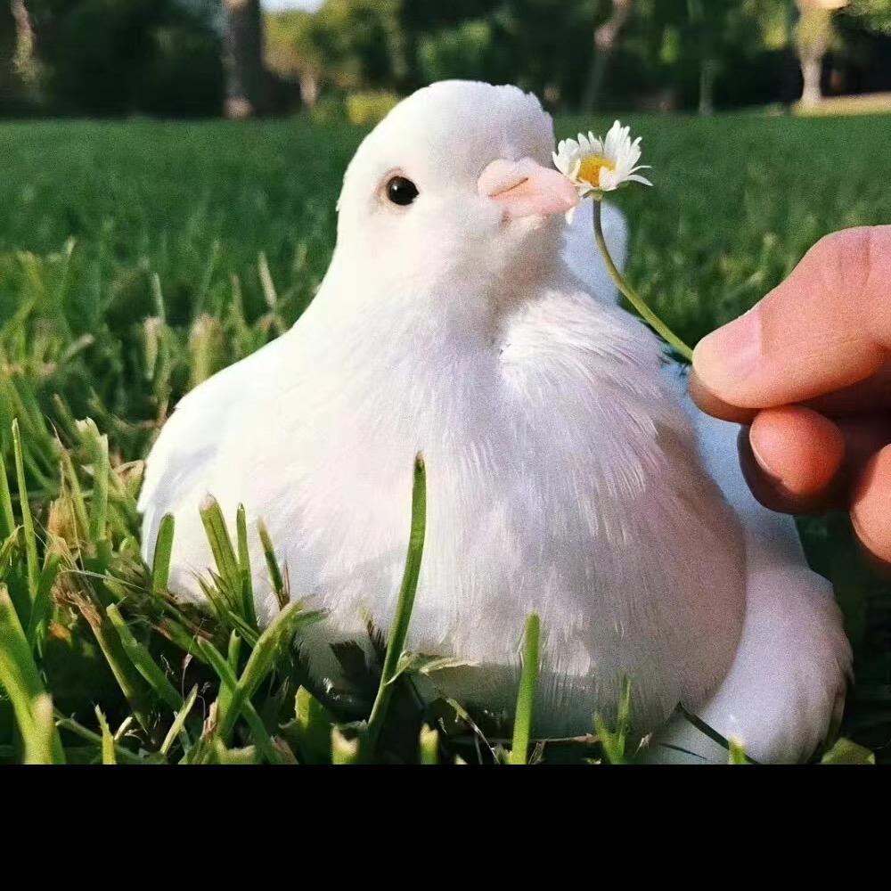 一抹阳光