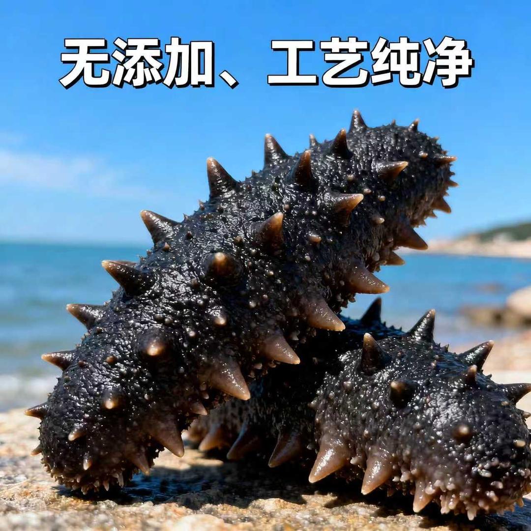 隋姐海参源头工厂