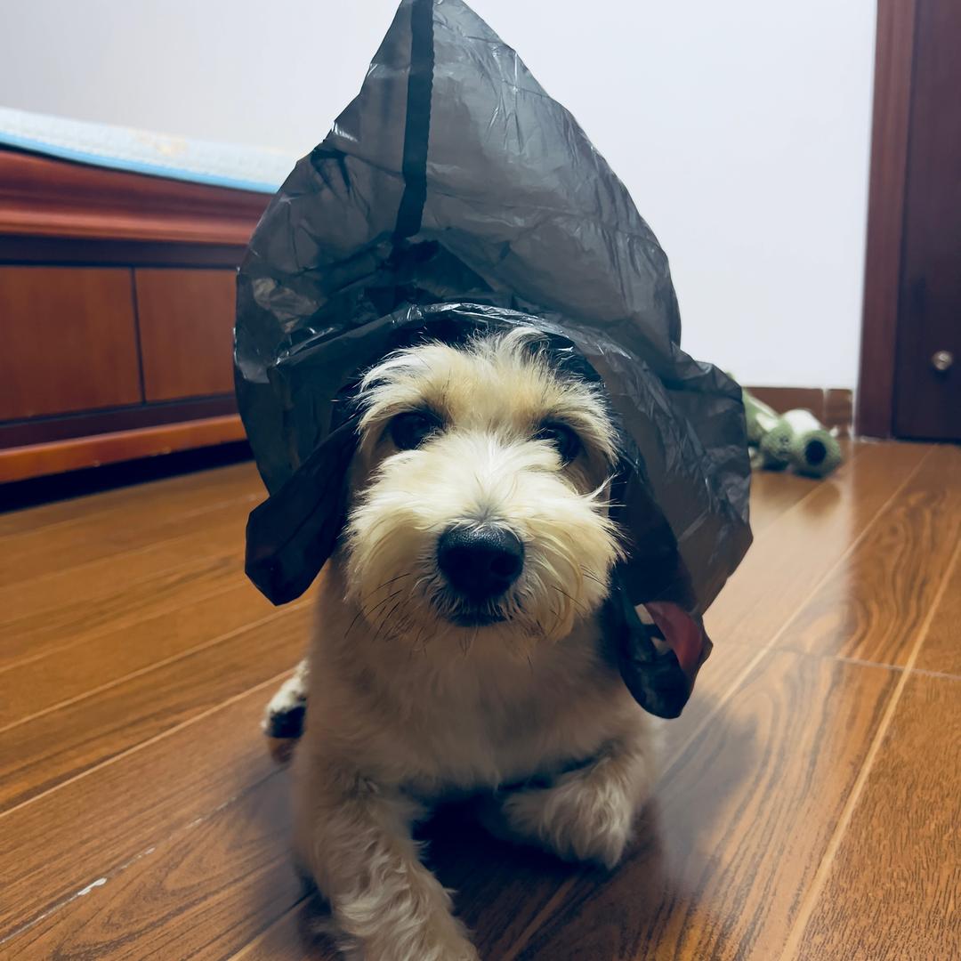 时来运转❤️‍🔥