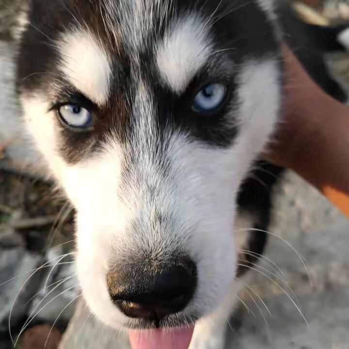 ^_^^_^,