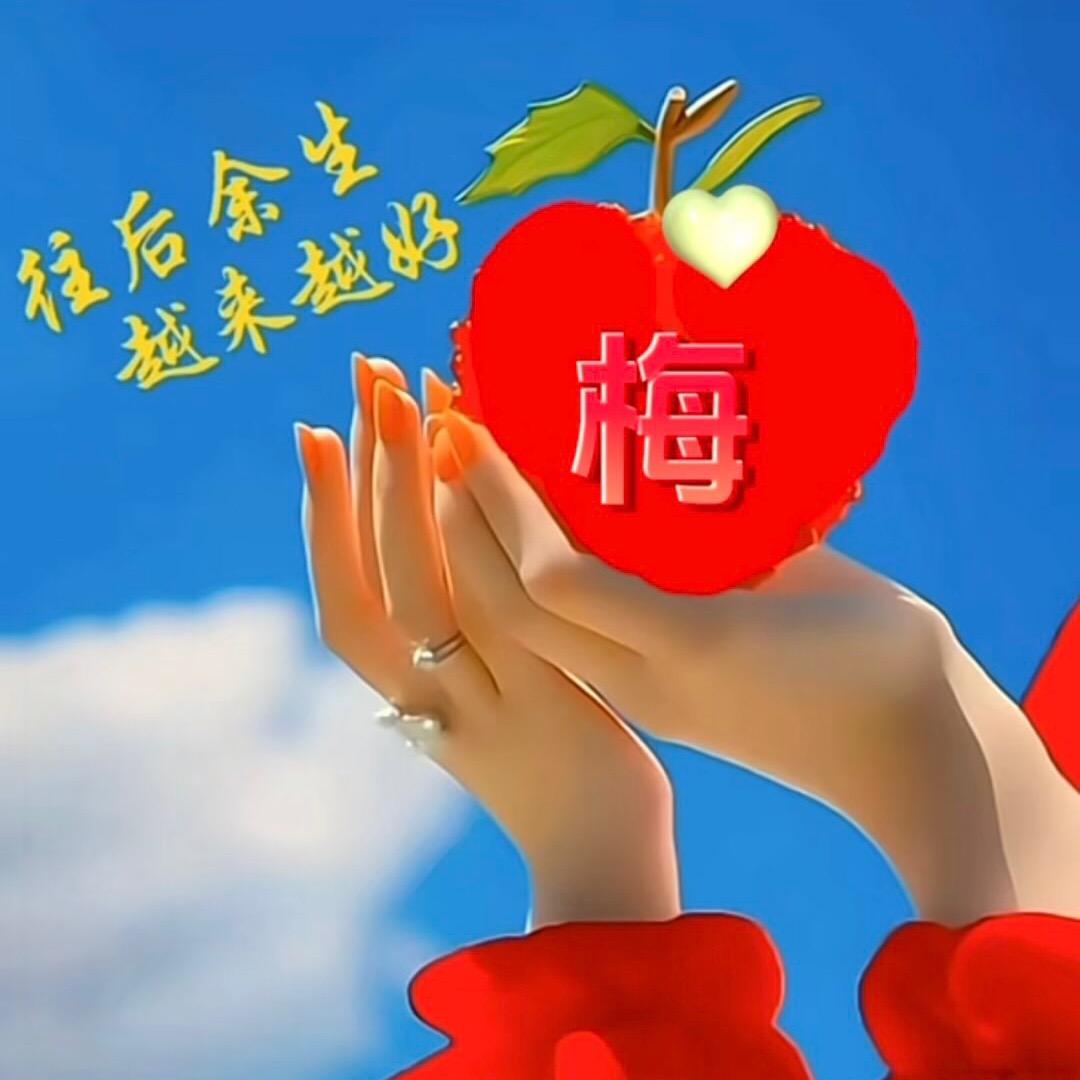 冬日暖阳🌹🌹