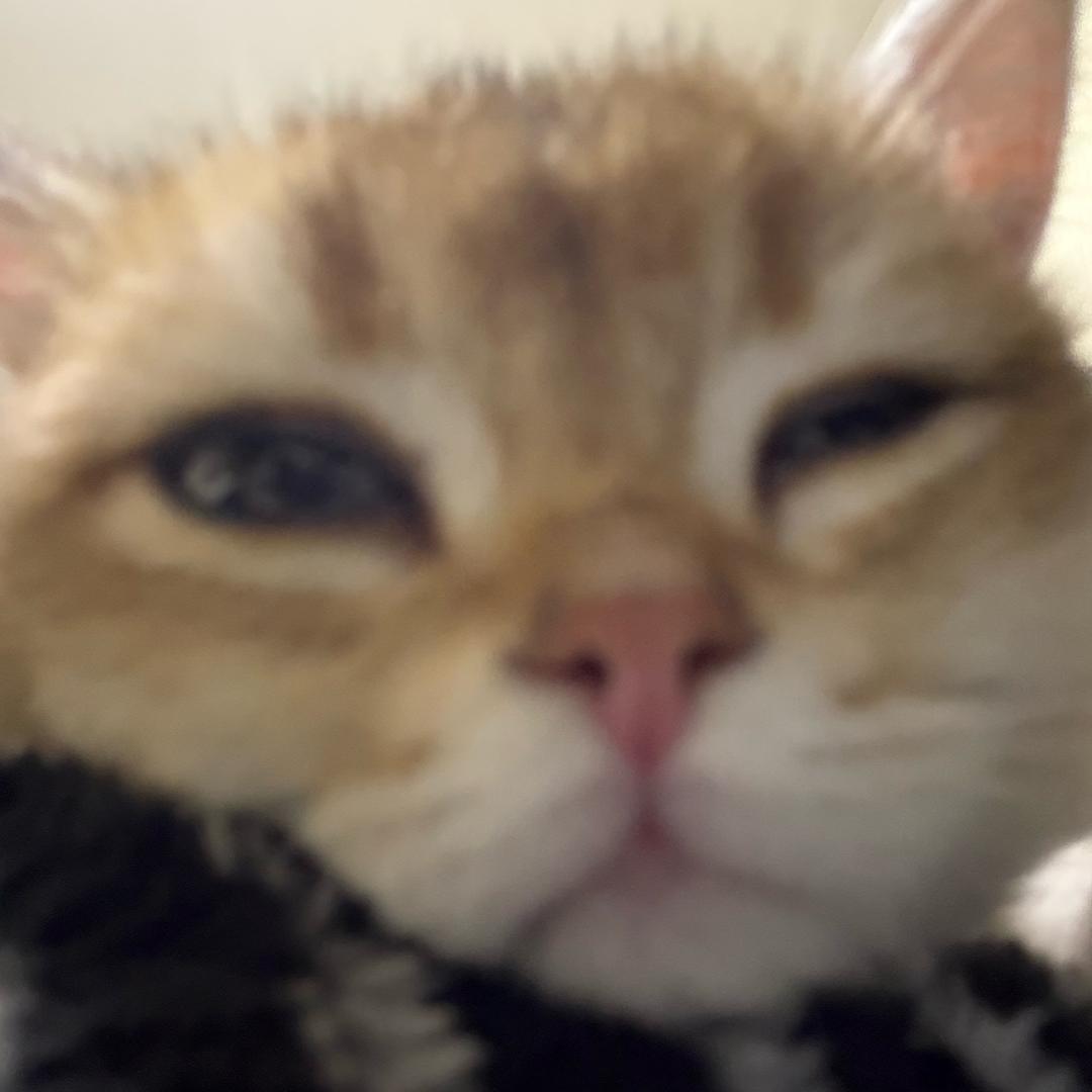 我要sososo