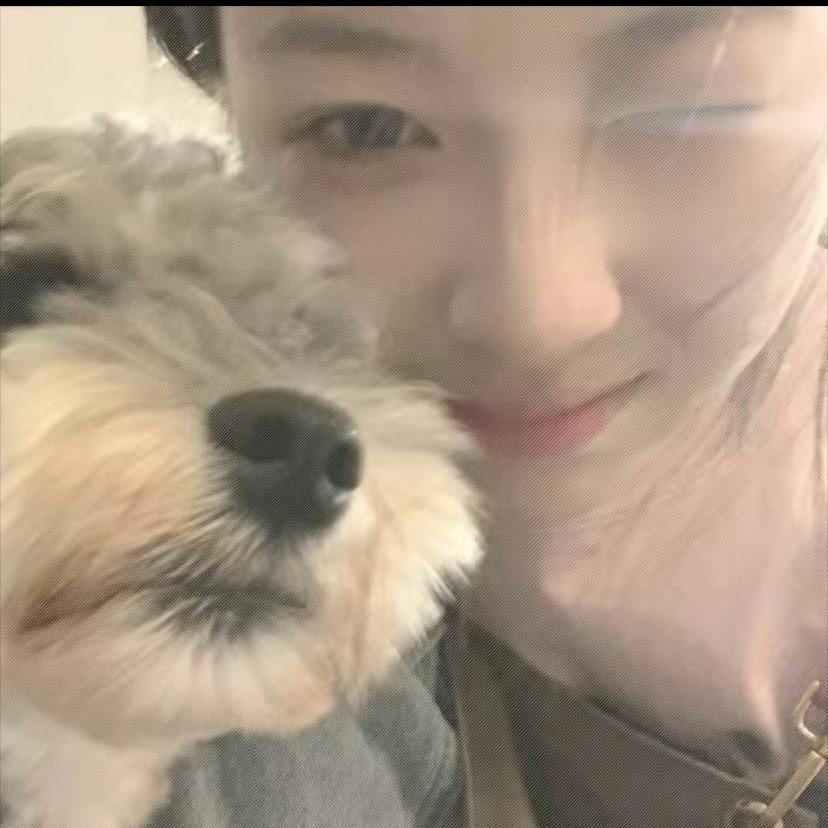 呆呆