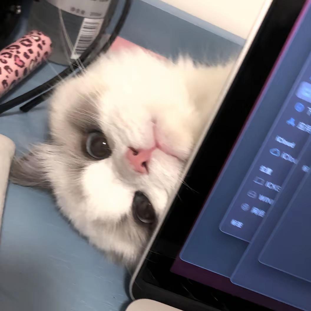汐