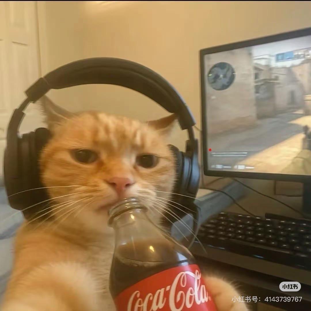 挞挞蛋（干净增肌版