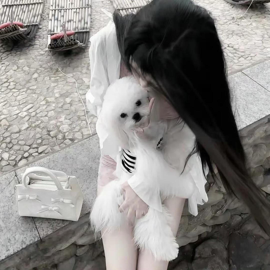 怪怪宠物零食