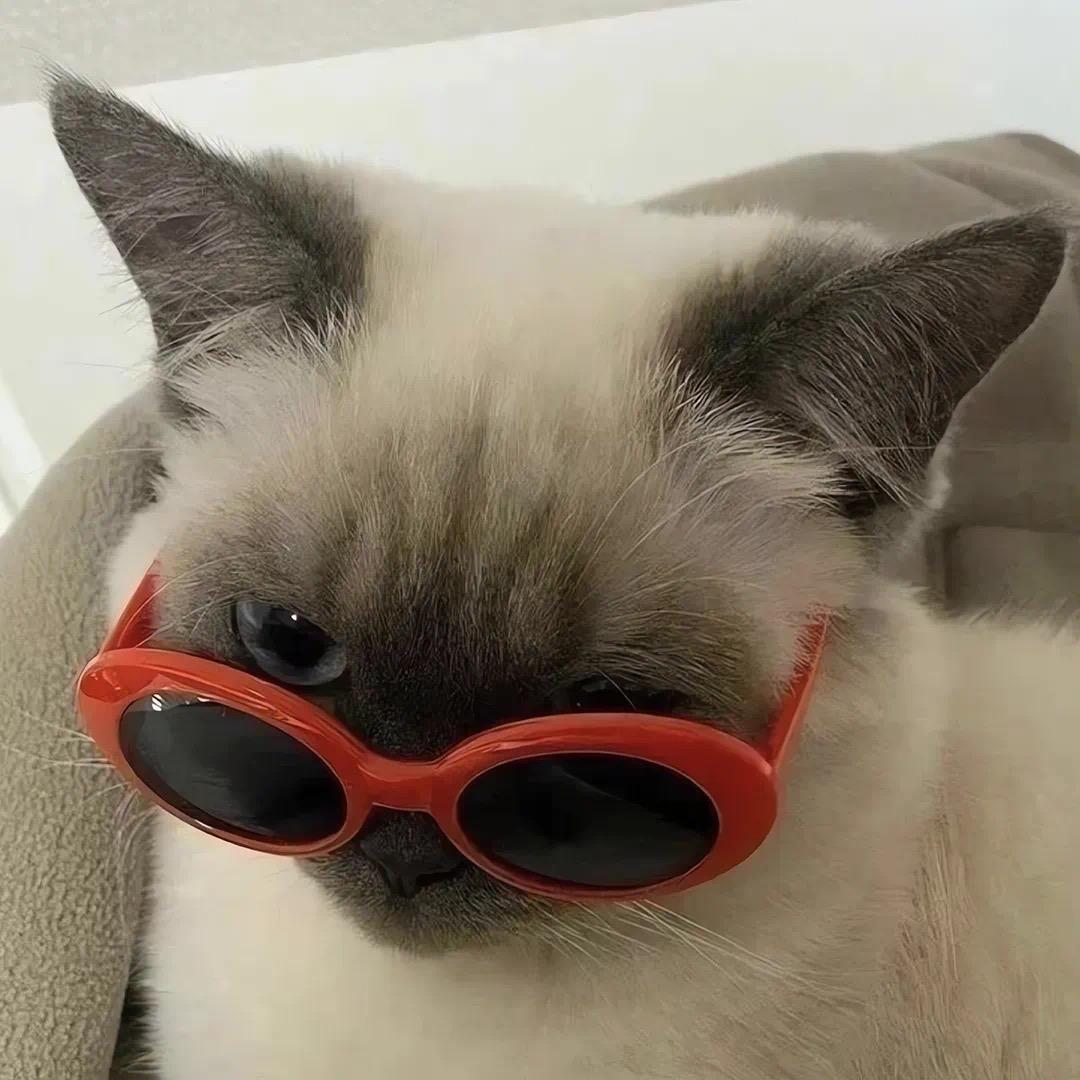 XXzzz
