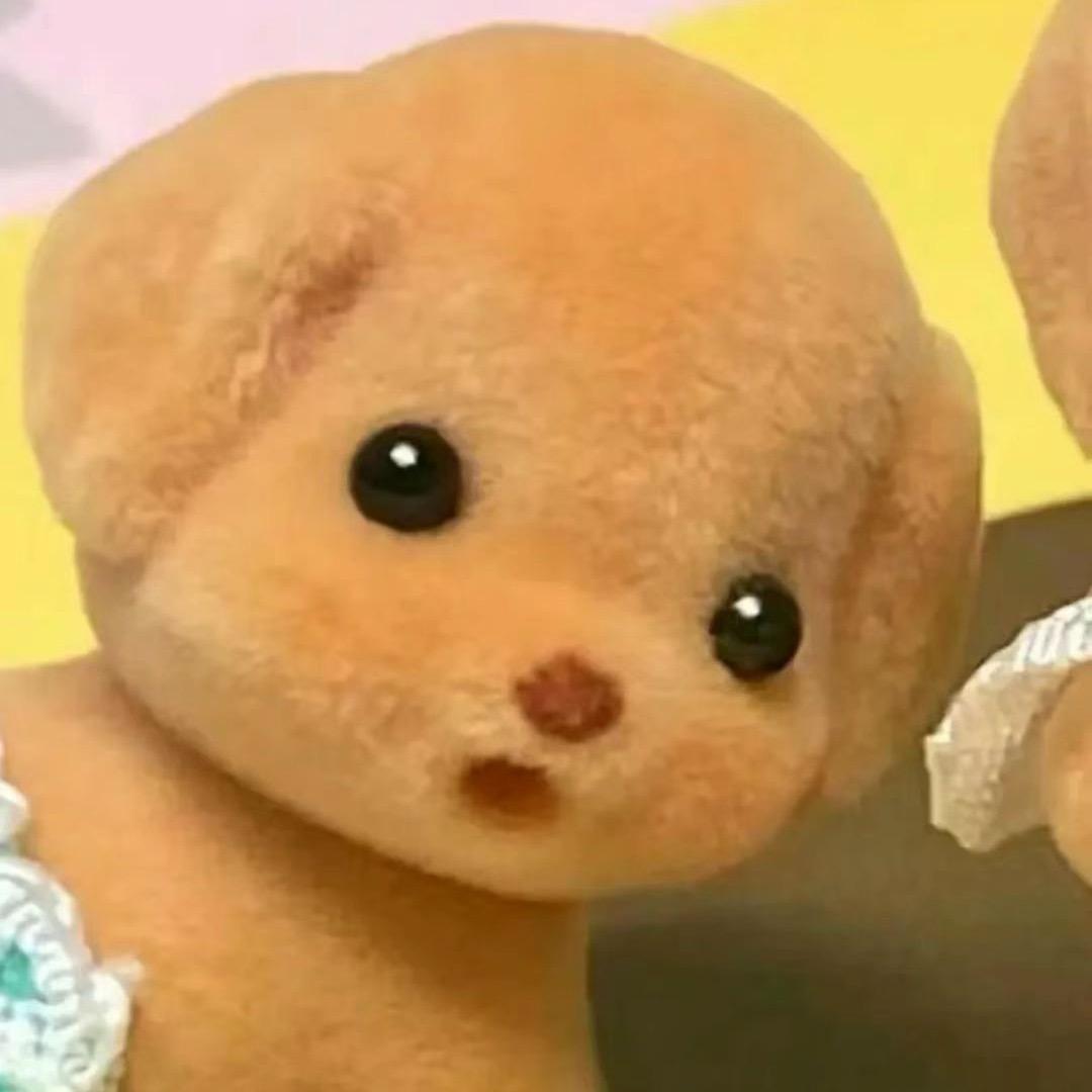 DD-