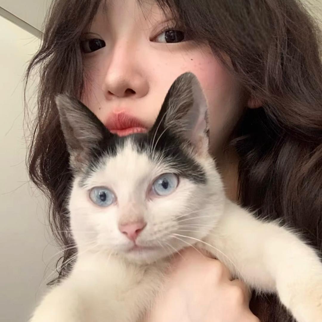 小羊.