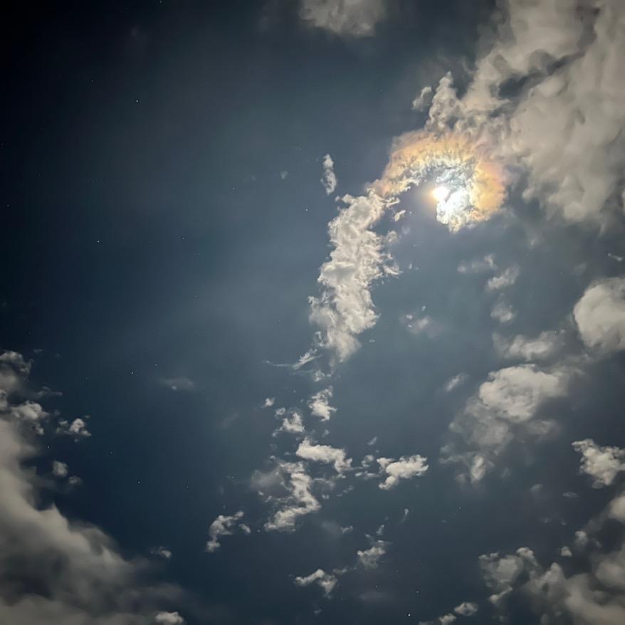 河东