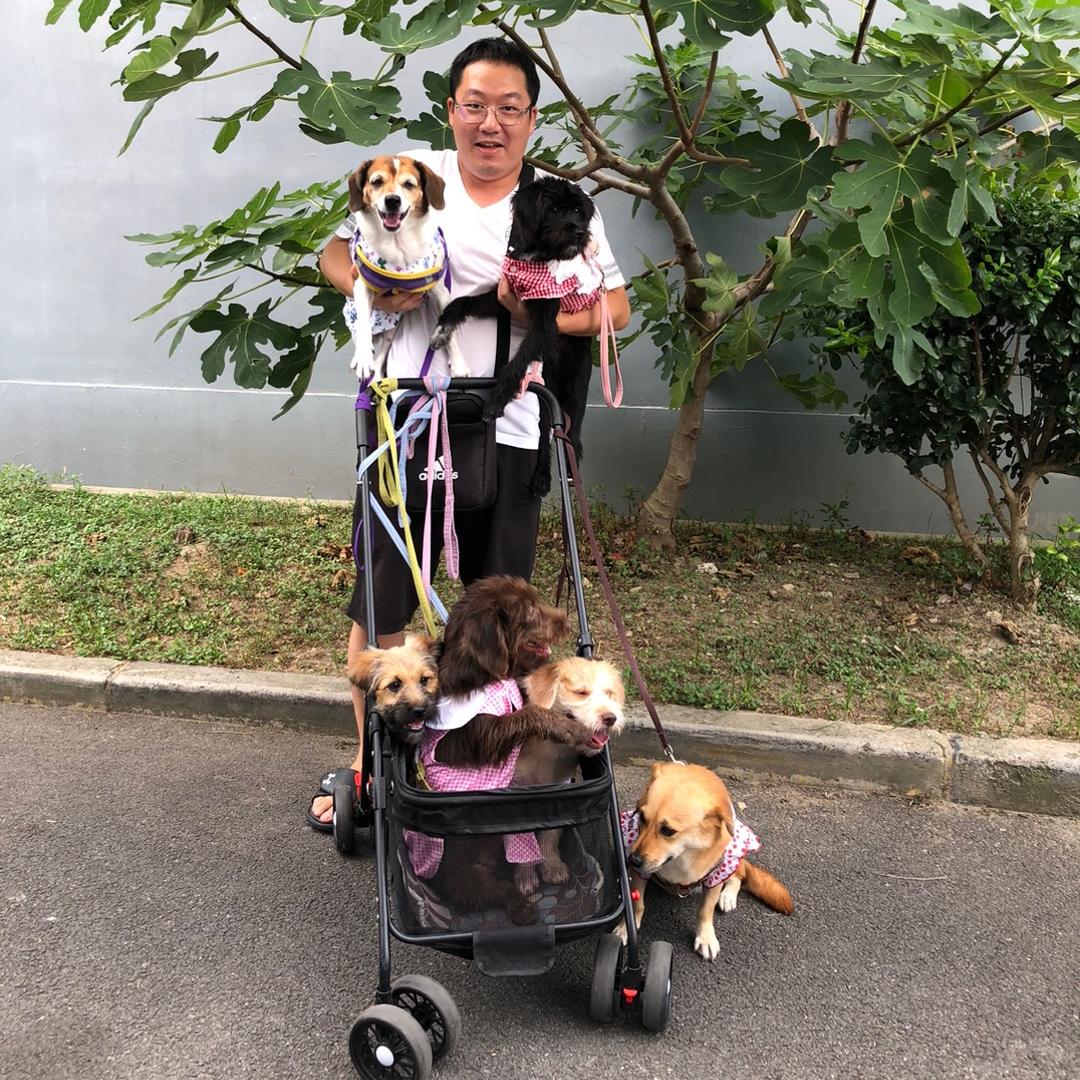 比格姑娘