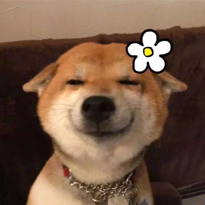 嗨森吖