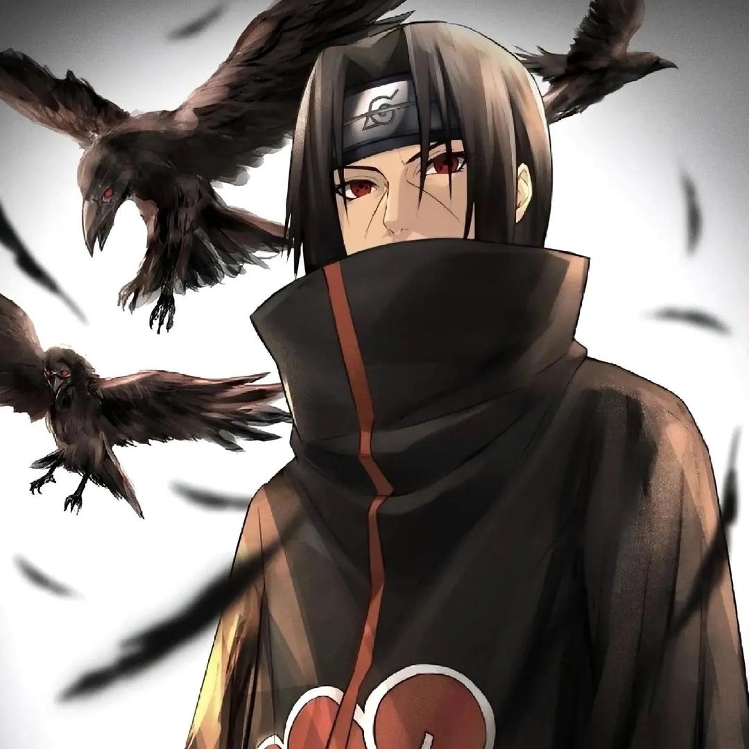 Z.～