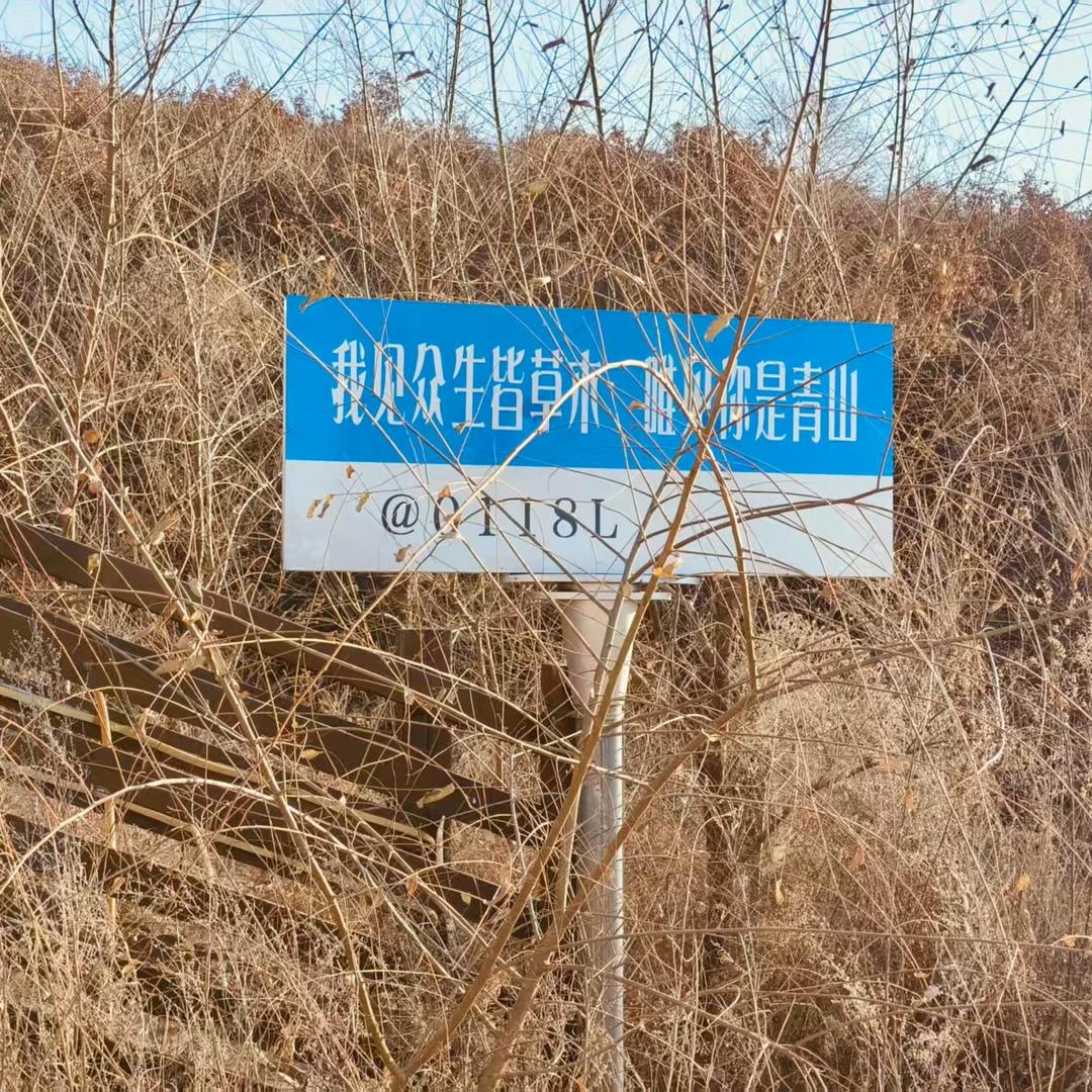 不吃香菜的老赵