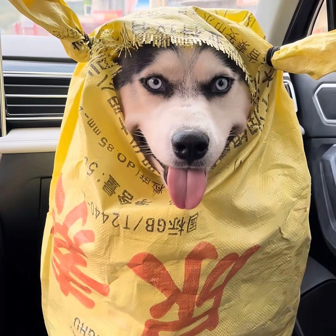 梵七