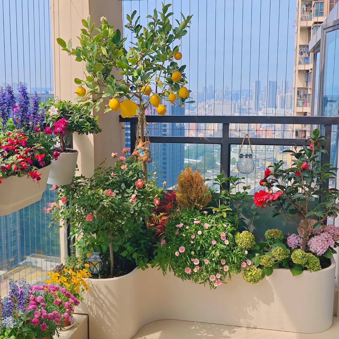 田园种植生活