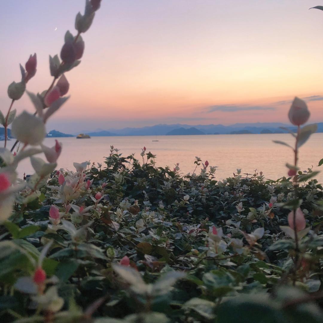 棉花糖