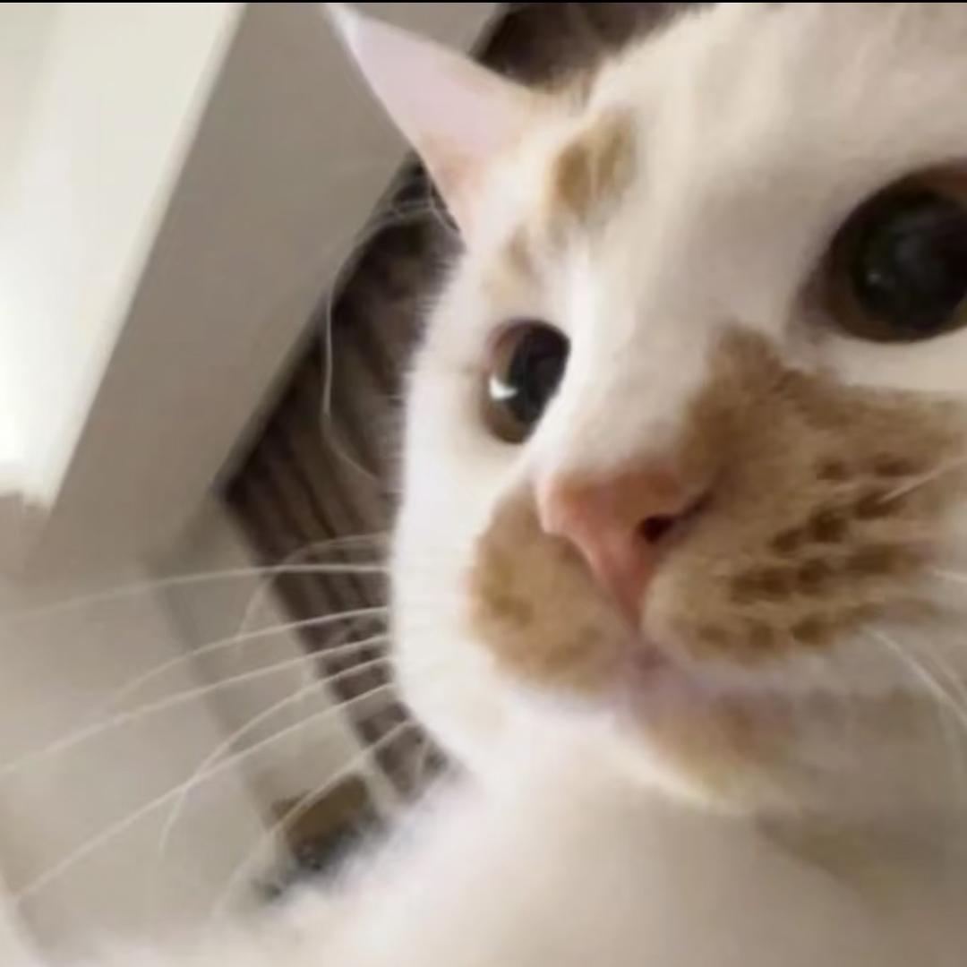 y .