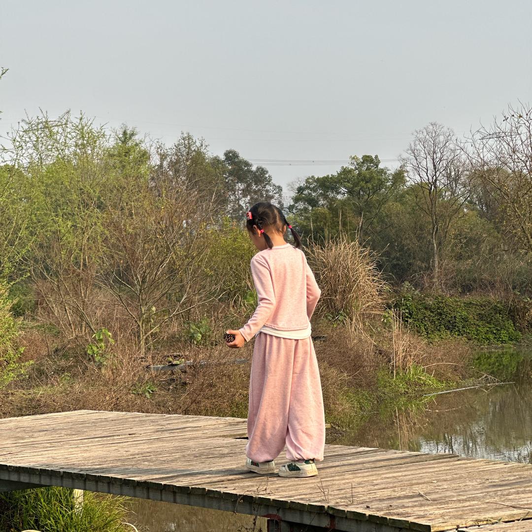 🌟🌞清晨阳光明媚