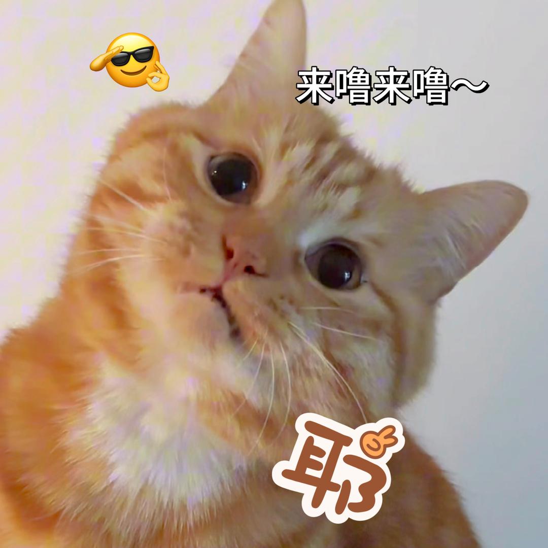 米粒呀