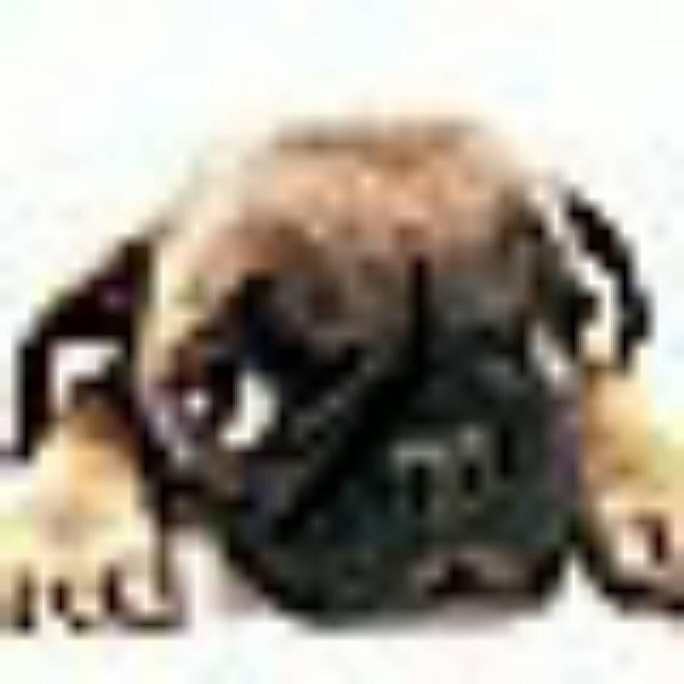 收烟薯25 ，红瑶，丝滑