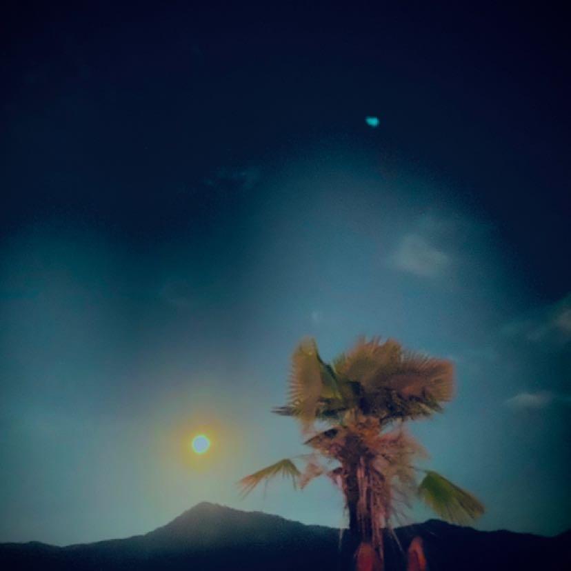 渣渣羊🐑 等6.8万人