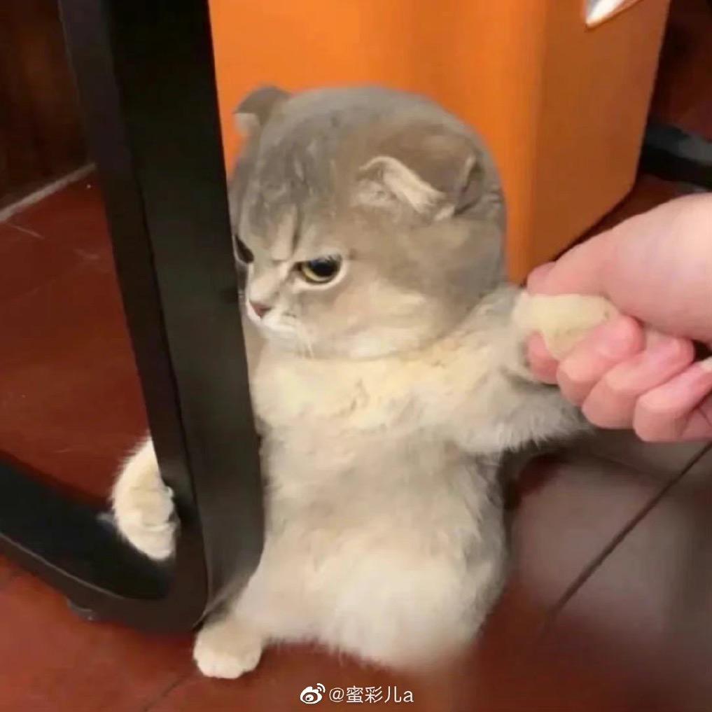 无忧