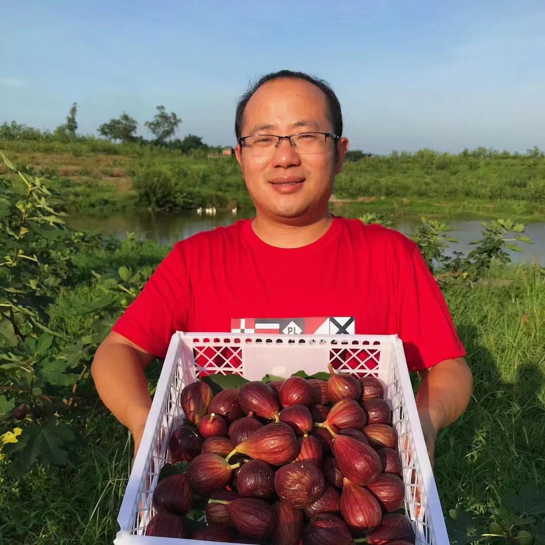 真果味仓
