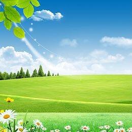 吃住在保定（团购）⭐