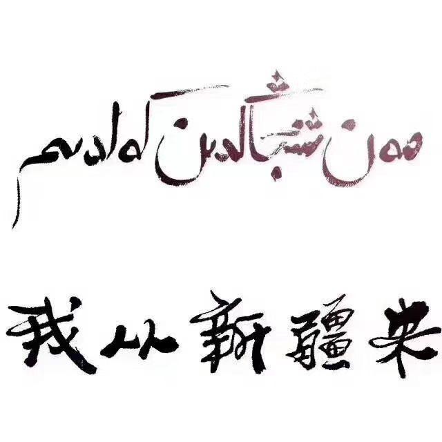 丝路蜜果新疆特产