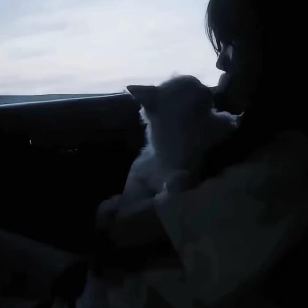 Rui