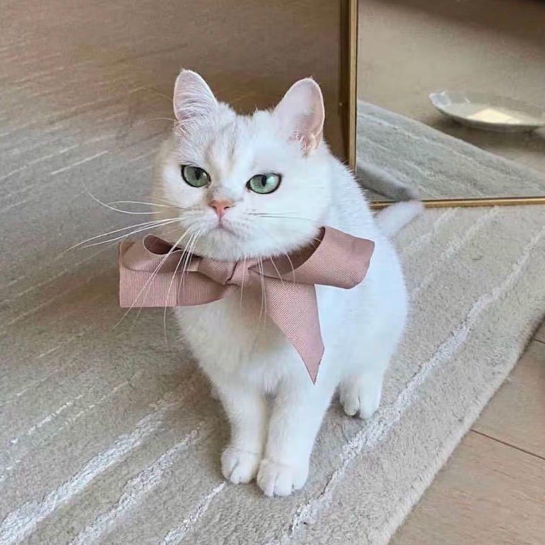 Lucky🎀