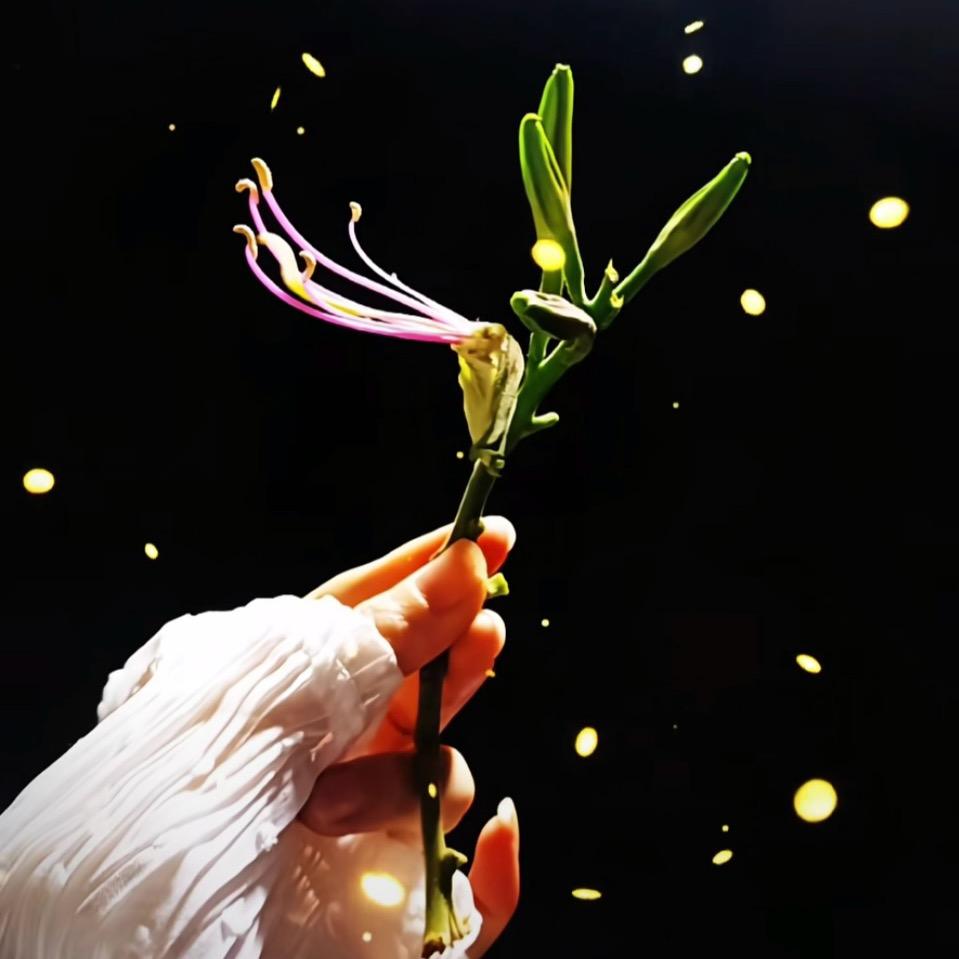 💞余生随心💕