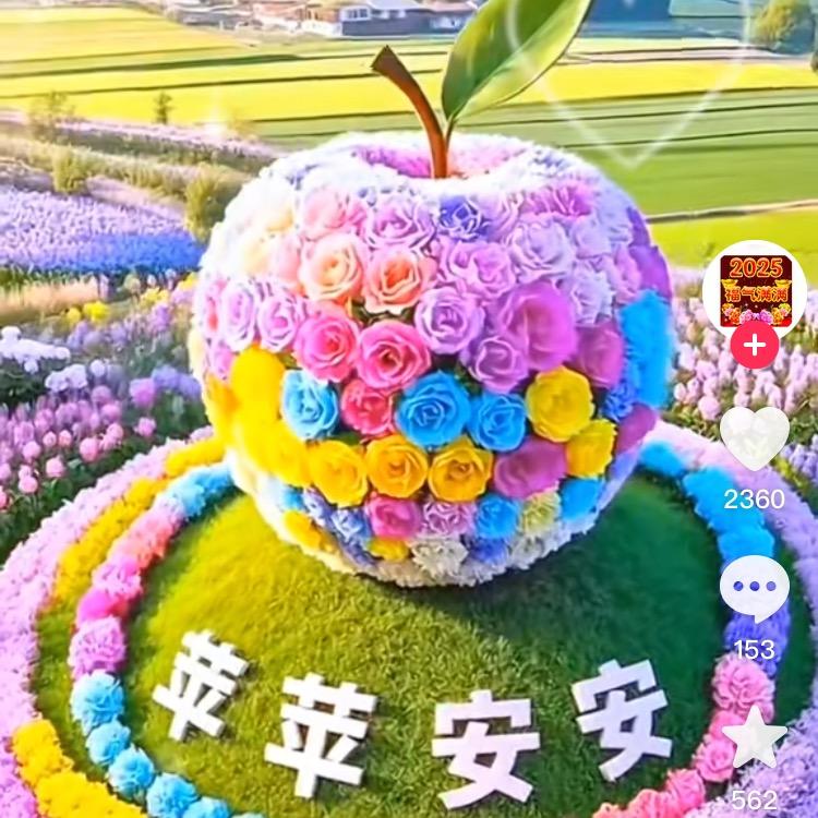 好，姐妹