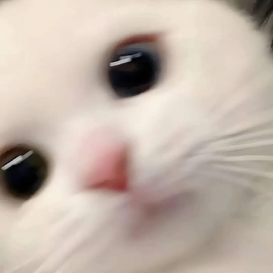 二十二