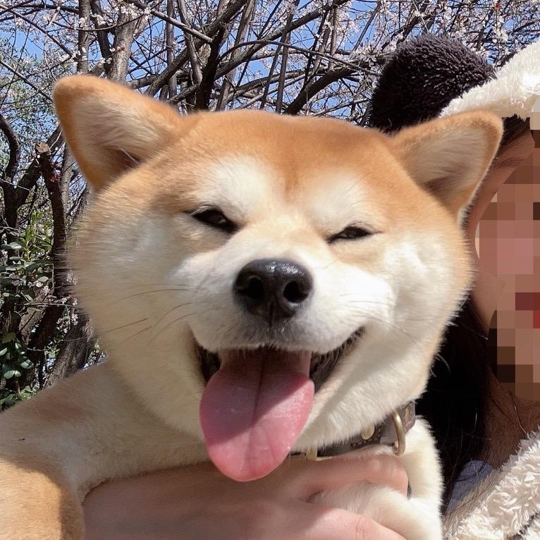 周周的收米