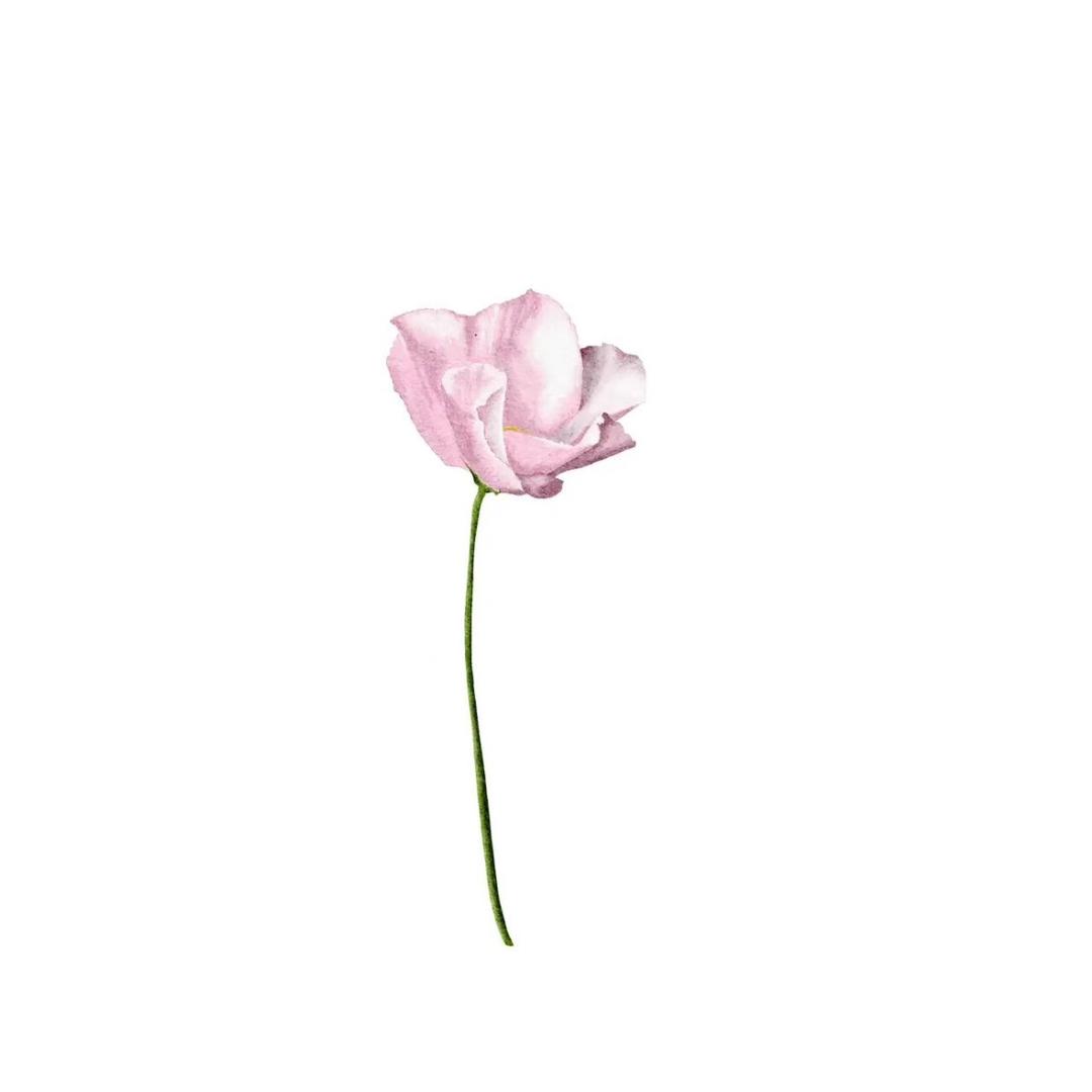 肖恩