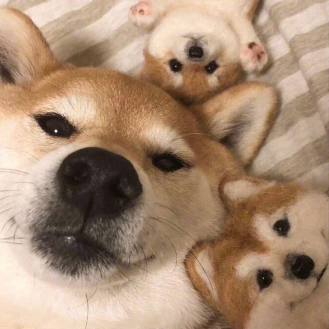 岘