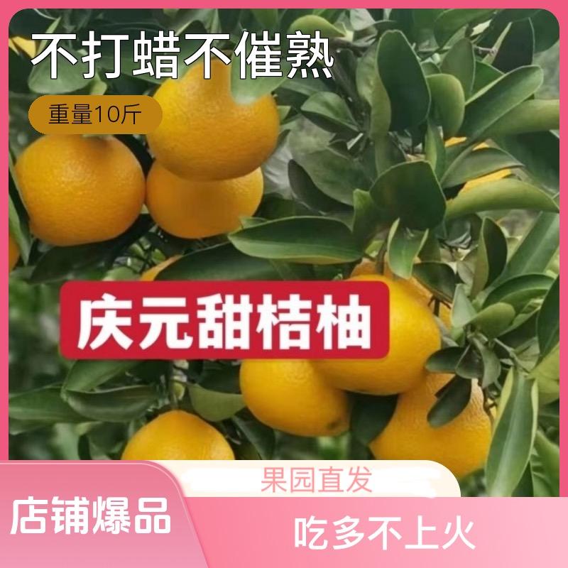 庆元县燕儿土特产经营部