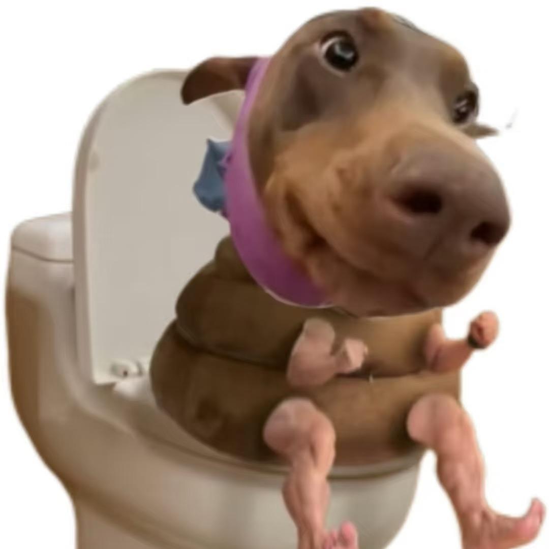 榴莲是我的好朋友