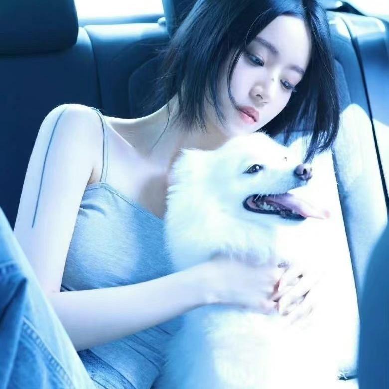 陈逸