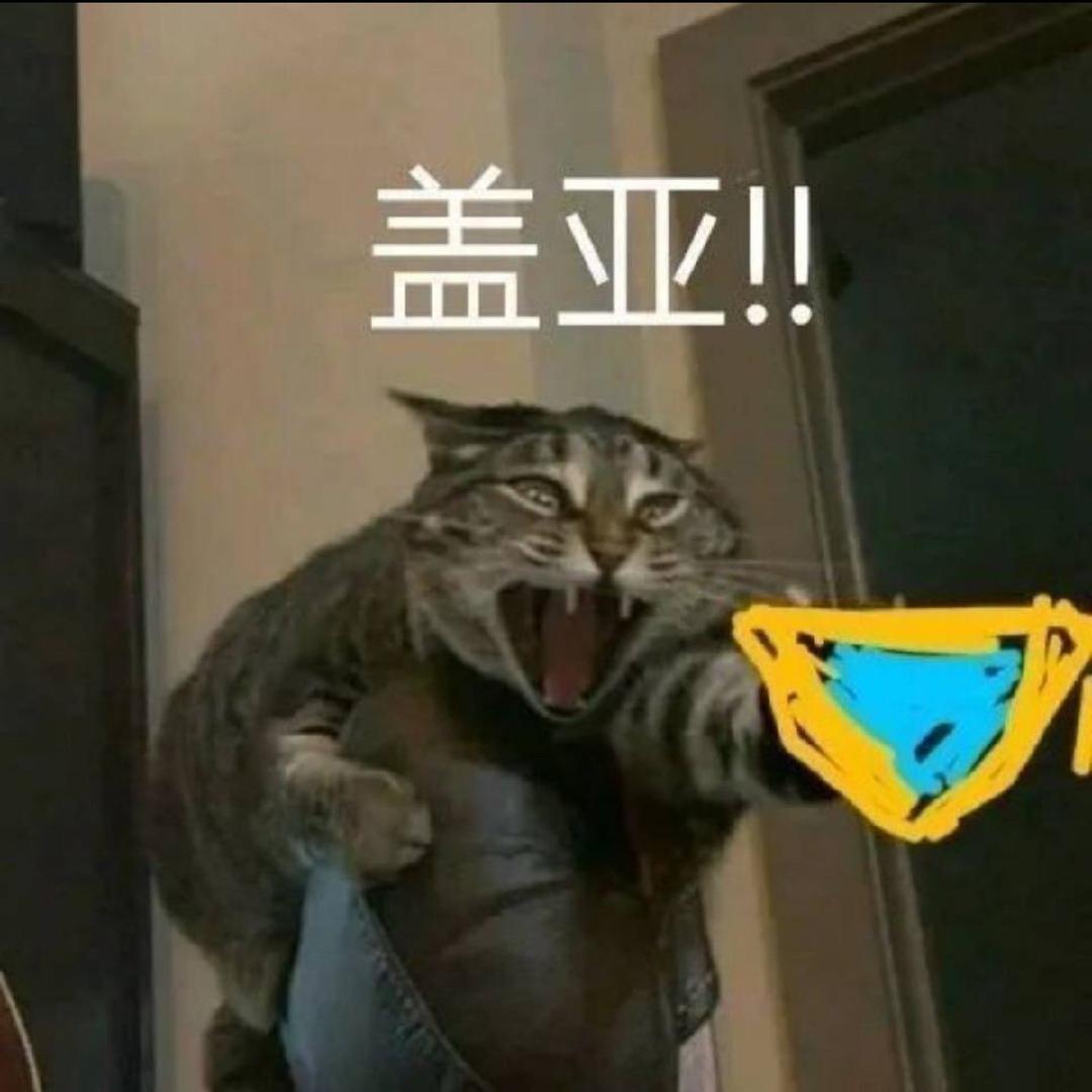普多蒙
