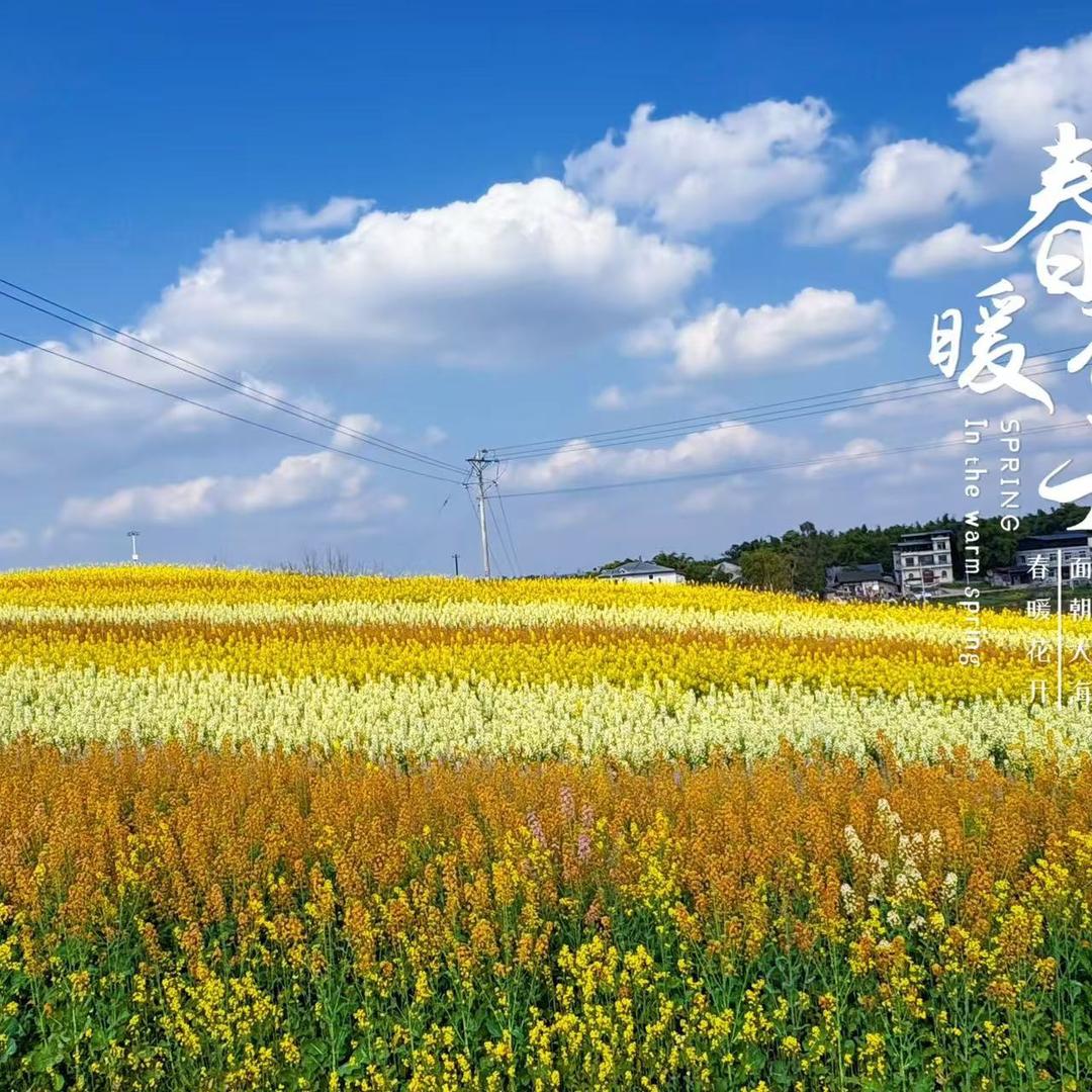 岁月静好头像