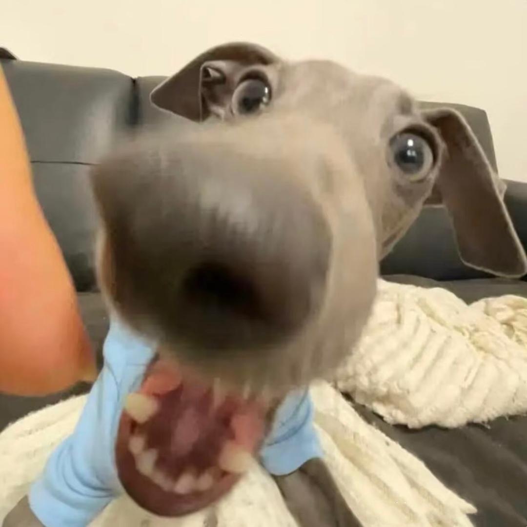 脉动
