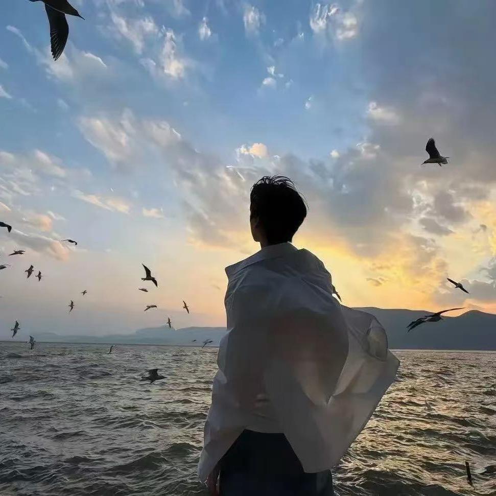 𝑺.港湾