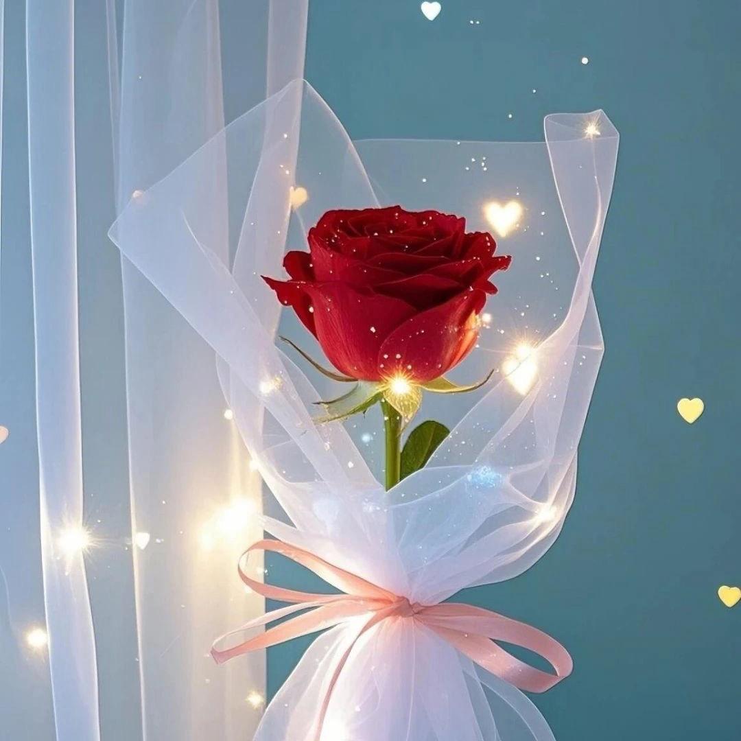 🌶️小  辣  椒🌶️